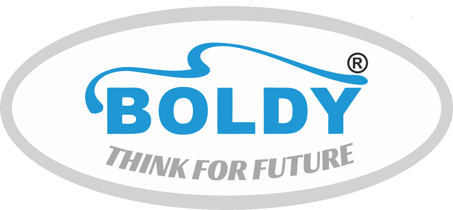 boldy_logo